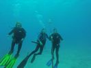 Hawaii Scuba divng 56