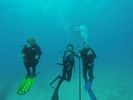 Hawaii Scuba divng 57