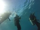 Hawaii Scuba divng 57