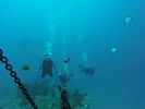 Hawaii Scuba divng 51