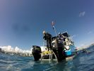 Hawaii Scuba divng 60