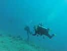 Hawaii Scuba divng 59