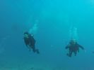 Hawaii Scuba divng 60