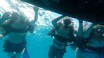 Hawaii Scuba divng 10