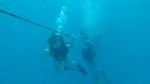 Hawaii Scuba divng 12