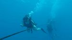 Hawaii Scuba divng 13