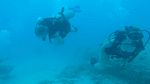 Hawaii Scuba divng 16