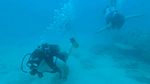 Hawaii Scuba divng 17