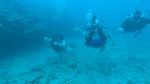 Hawaii Scuba divng 20