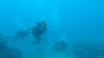 Hawaii Scuba divng 24