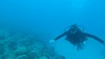 Hawaii Scuba divng 35