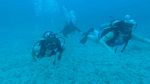 Hawaii Scuba divng 36