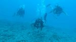 Hawaii Scuba divng 38