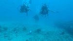 Hawaii Scuba divng 40