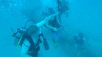 Hawaii Scuba divng 42