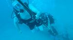 Hawaii Scuba divng 44