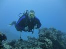 Hawaii Scuba divng 23