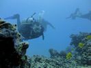 Hawaii Scuba divng 24