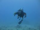 Hawaii Scuba divng 26