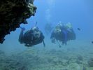 Hawaii Scuba divng 29