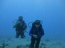 Hawaii Scuba divng 37