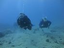 Hawaii Scuba divng 41