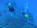 Hawaii Scuba divng 53