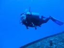 Hawaii Scuba divng 59