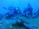 Hawaii Scuba divng 60