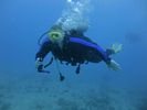 Hawaii Scuba divng 06