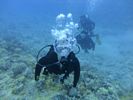 Hawaii Scuba divng 14