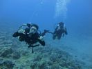 Hawaii Scuba divng 15