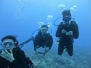 Hawaii Scuba divng 17