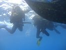 Hawaii Scuba divng 03