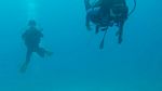 Hawaii Scuba divng 29