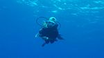 Hawaii Scuba divng 05