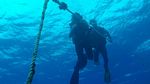 Hawaii Scuba divng 06