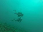 Hawaii Scuba divng 13