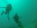 Hawaii Scuba divng 31