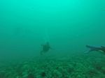 Hawaii Scuba divng 35