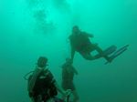 Hawaii Scuba divng 47