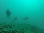 Hawaii Scuba divng 48