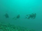 Hawaii Scuba divng 51