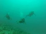 Hawaii Scuba divng 57