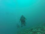 Hawaii Scuba divng 58