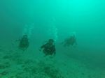 Hawaii Scuba divng 62