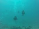 Hawaii Scuba divng 19