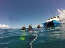 Hawaii Scuba divng 01