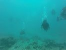 Hawaii Scuba divng 20