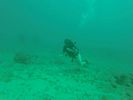 Hawaii Scuba divng 28